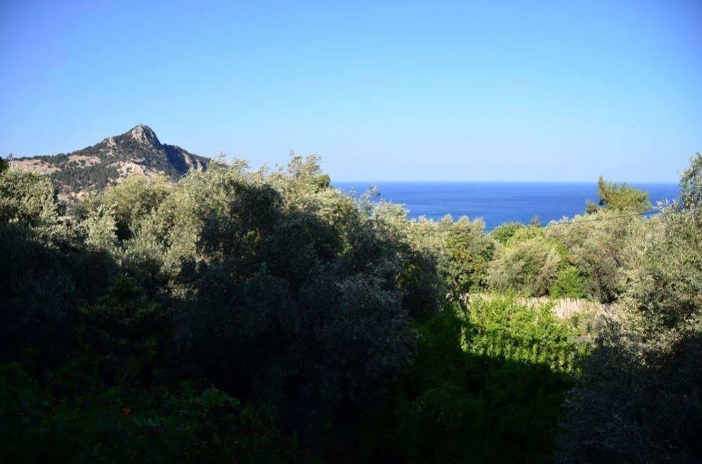 Panorama Studios Archangelos  Luaran gambar